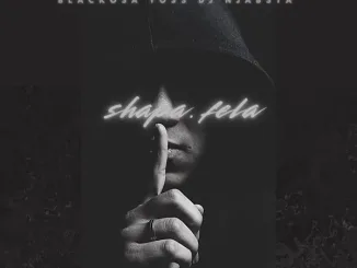 Blacko SA - Shapa Fela ft. TOSS, DJ Njabsta, Mulest Vankay, Novatron & Al Xapo Mposa.Co.Za