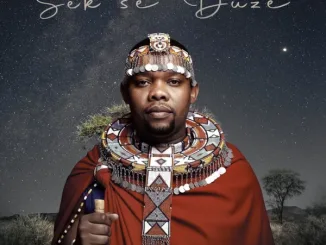 Njelic - Sek’se Duze Ft. Kaylow, Luu Nineleven & La-Ngwenya Mposa.Co.Za